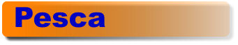 Pesca
